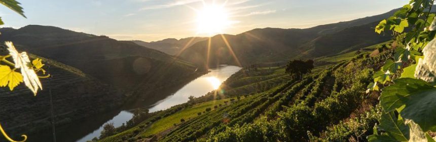 vin blanc portugais, Un vin de la semaine portugais au naturel