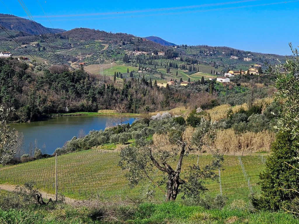 vins de carmignano, Carmignano – petite appellation, grande histoire